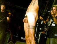 Tommy Lee Naked Pictures